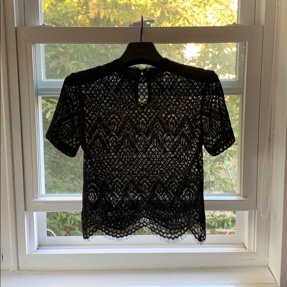 Zara lace crop top
